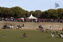 publico