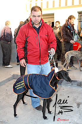 VIDEO SEMIFINALES LOCAL DE MADRIGAL