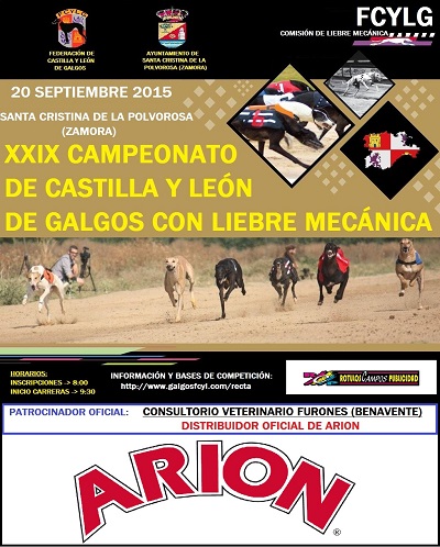 EL XXIX CAMPEONATO REGIONAL DE CASTILLA Y LEÓN DE GALGOS CON LIEBRE MECÁNICA PONDRÁ EL BROCHE FINAL A LA TEMPORADA DE RECTA