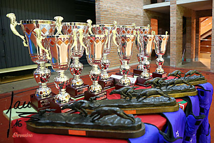 ENTREGA DE TROFEOS FINALES NAVA DEL REY