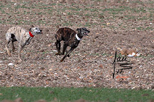 GALERÍA FOTOGRAFICA FINAL DEL MIXTO: MADRIGAL 14 DIC