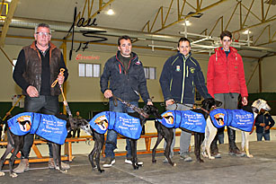 GALERÍA ENTREGA DE TROFEOS FINALES. MEDINA DEL CAMPO