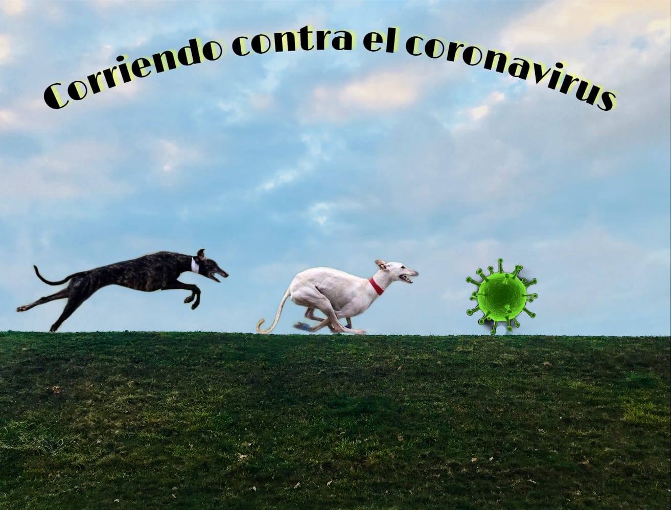 CORRIENDO CONTRA EL CORONAVIRUS