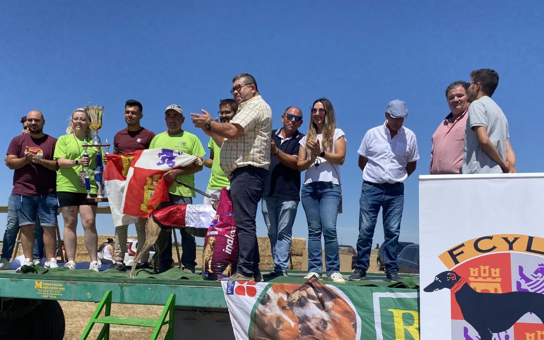 IX CARRERA DE LA LIGA DE RECTA, CAMPEONATO DE CASTILLA Y LEÓN. HORCAJO DE LAS TORRES