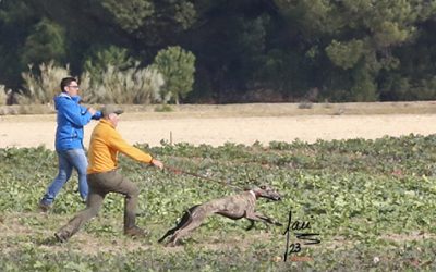 CRÓNICA 3 DE DICIEMBRE DE 2023