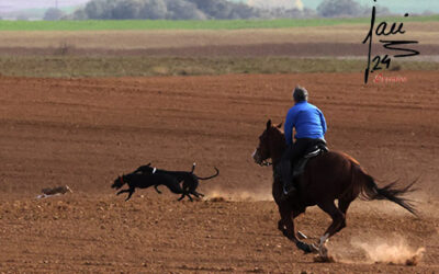 I CAMPEONATO DE ESPAÑA CON BOZAL