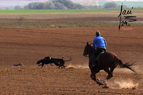 I CAMPEONATO DE ESPAÑA CON BOZAL